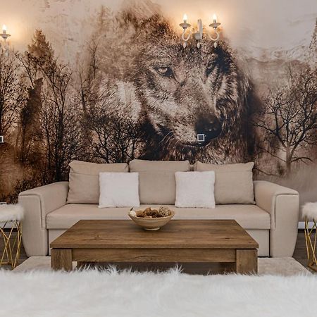 Aki Studio Silver Mountain โปยานาบราซอฟ ภายนอก รูปภาพ