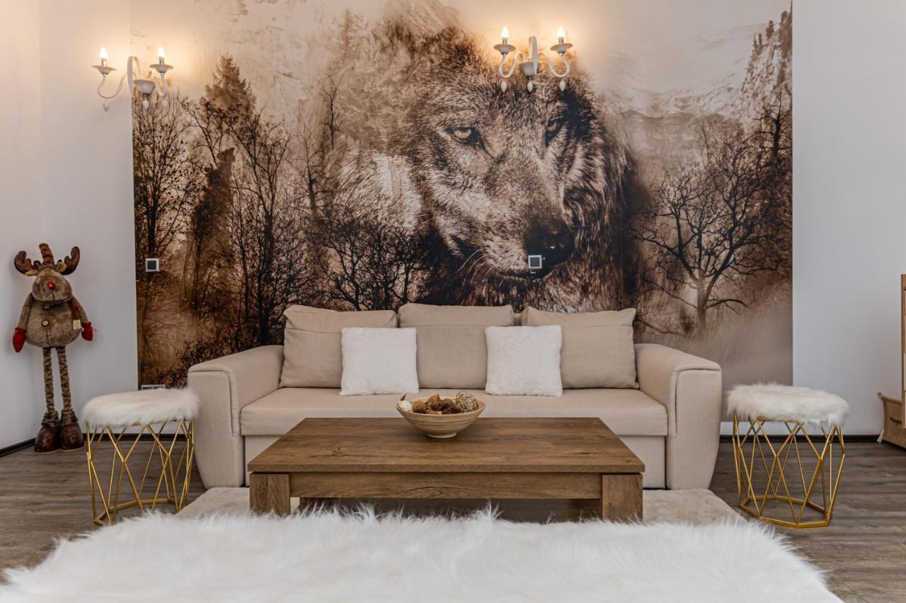 Aki Studio Silver Mountain โปยานาบราซอฟ ภายนอก รูปภาพ