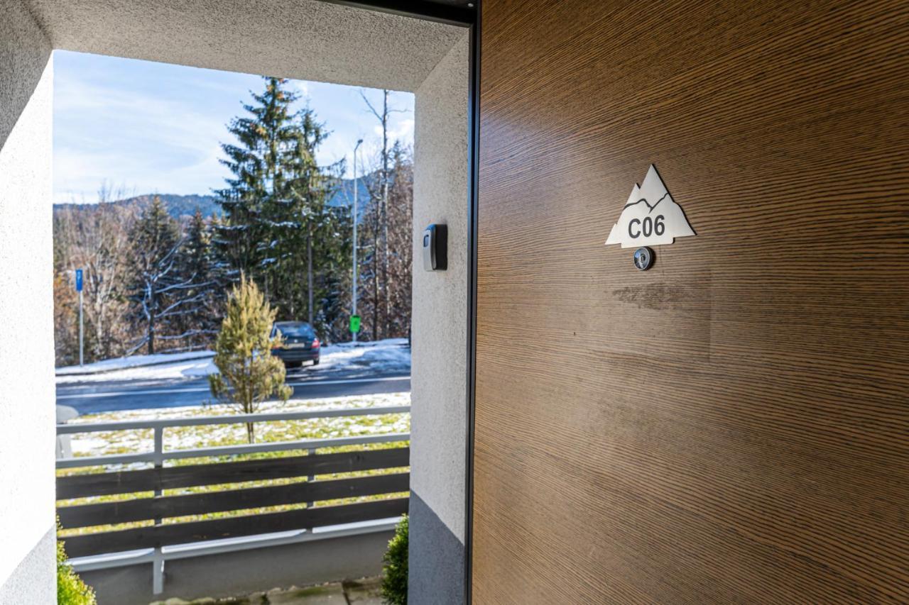 Aki Studio Silver Mountain โปยานาบราซอฟ ภายนอก รูปภาพ